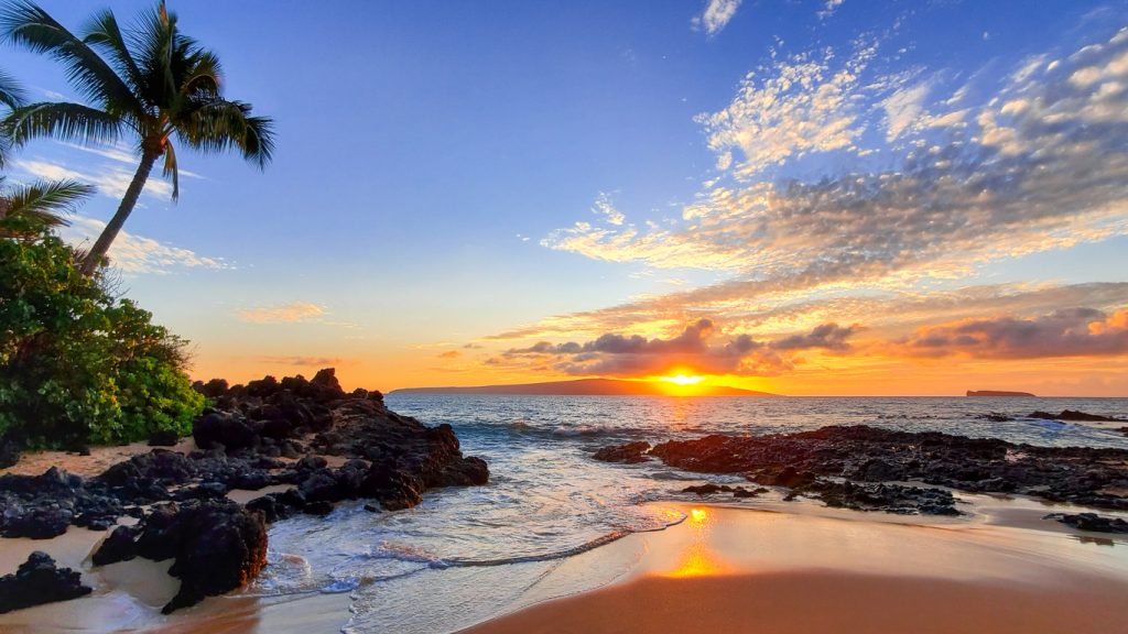 Hawaii trade show displays